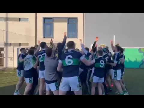 Wild celebrations as Bray Emmets secure Leinster intermediate hurling title.
