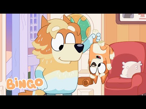 Niñera doble | episodio completo | Bingo - Español Canal Oficial