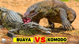 Download lagu Pertarungan KOMODO VS BUAYA, Mana Yang Memiliki Gigitan Paling Mematikan? mp3