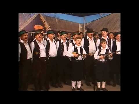 MPS "Berislavić" Novi Grad - Nije zora k`o štoj` nekad bila