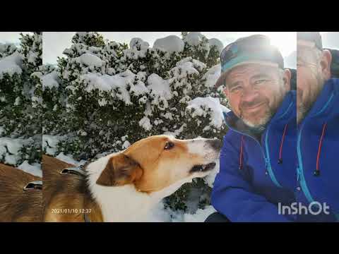 Murillo el Fruto Nevada 2021