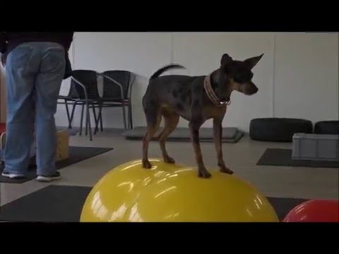 Gruppentraining Ansichtssache bei Team HNB in Nürtingen