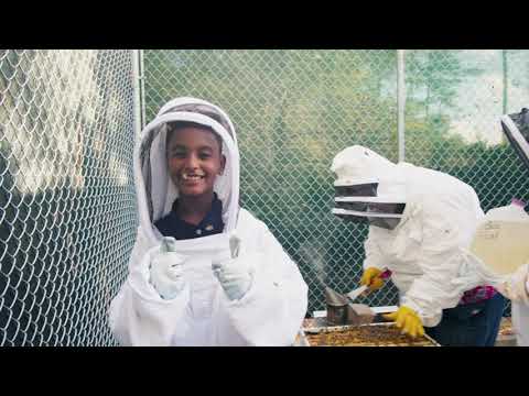 Canoe Creek K-8's Bee Keeping Club