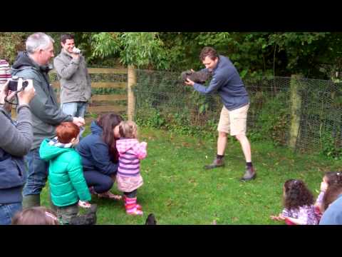 Farmer Tim rocks a chicken to sleep!!