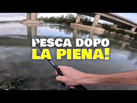 Pesca a SPINNING dopo la PIENA!