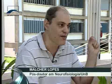 Jornalismo - CDH volta a debater o uso da maconha para fins medicinais