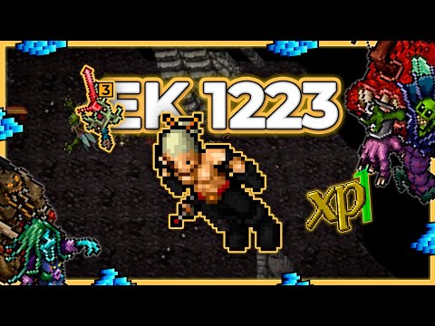 EK 1223 Hunt Solo Grounds of Despair 8.5kk/h Raw + 2.5kk Profit - Tibia Hunt [15.11]
