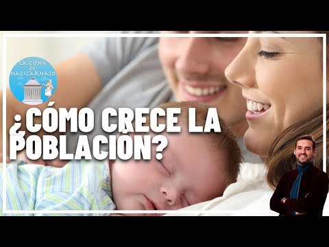 How does population grow? Birth rate 👶 mortality ☠️ and population pyramids 🔼