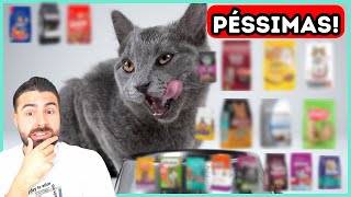 Rações Que Eu JAMAIS COMPRARIA Para Meus Gatos!