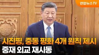 시진핑, 중동 평화 4개 원칙 제시…중재 외교 재시동 / 연합뉴스TV (YonhapnewsTV)
