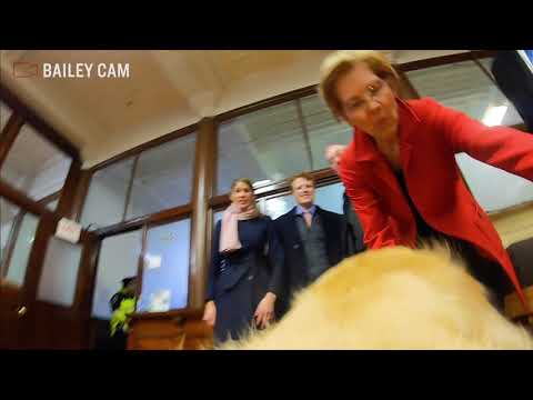 Video thumbnail for Backstage with Bailey at Elizabeth Warren's Presidential Campaign Announcement Speech