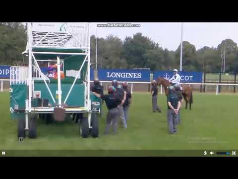 Horse Racing Ascot 17:15 8 August 2020 | The Hard Fav Jadwal loose