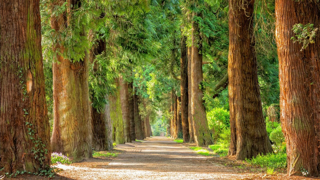 Zoé Juárez Riera-35