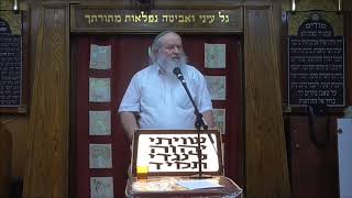 גדרי פיקוח נפש בשבת