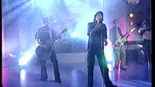 Shed Seven - Disco Down