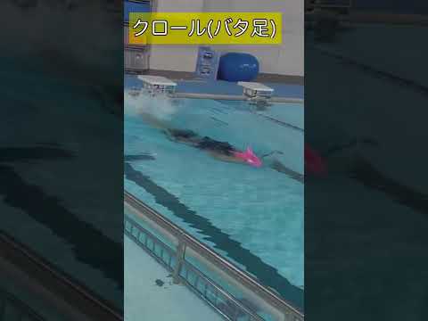 園芸 スイミングプールで