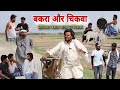 होशियार बकरा वाला या चिकवा Imran Sabbu Ke Comedy