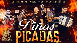 Video Piñas Picadas de Los Hijos de García, Los Nuevos Escoltas