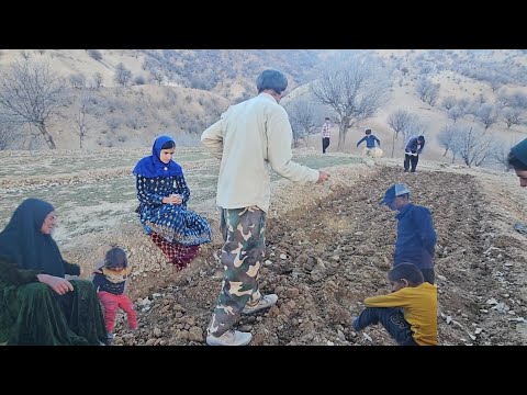 The Whole Family Joins! 🏔️ Taming the Rocky Land to Plant Our First Alfalfa 🌱💪