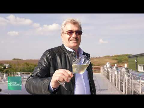 Proprietarul Domeniilor Averești în dialog cu Andreea Stroe despre secretele vinurilor de calitate