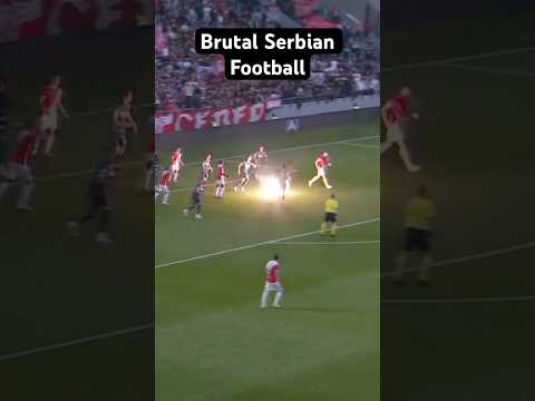 NO ONE WAS HURT! #football #serbia #delije #crvenazvezda #pyro #incedent #2025