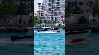 Pilot 🛟 #like #share #subscribe #comment #shortsvideo #youtubeshorts #cruise #vacation #shorts #fun