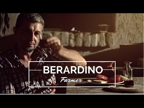 BERARDINO - FARMER