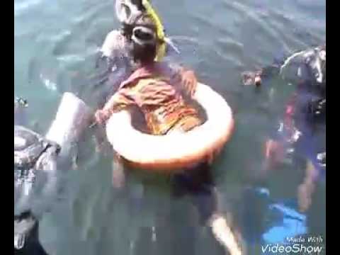 download lagu mp3 mp4 Snorkeling In Tarkarli, download lagu Snorkeling In Tarkarli gratis, unduh video klip Snorkeling In Tarkarli