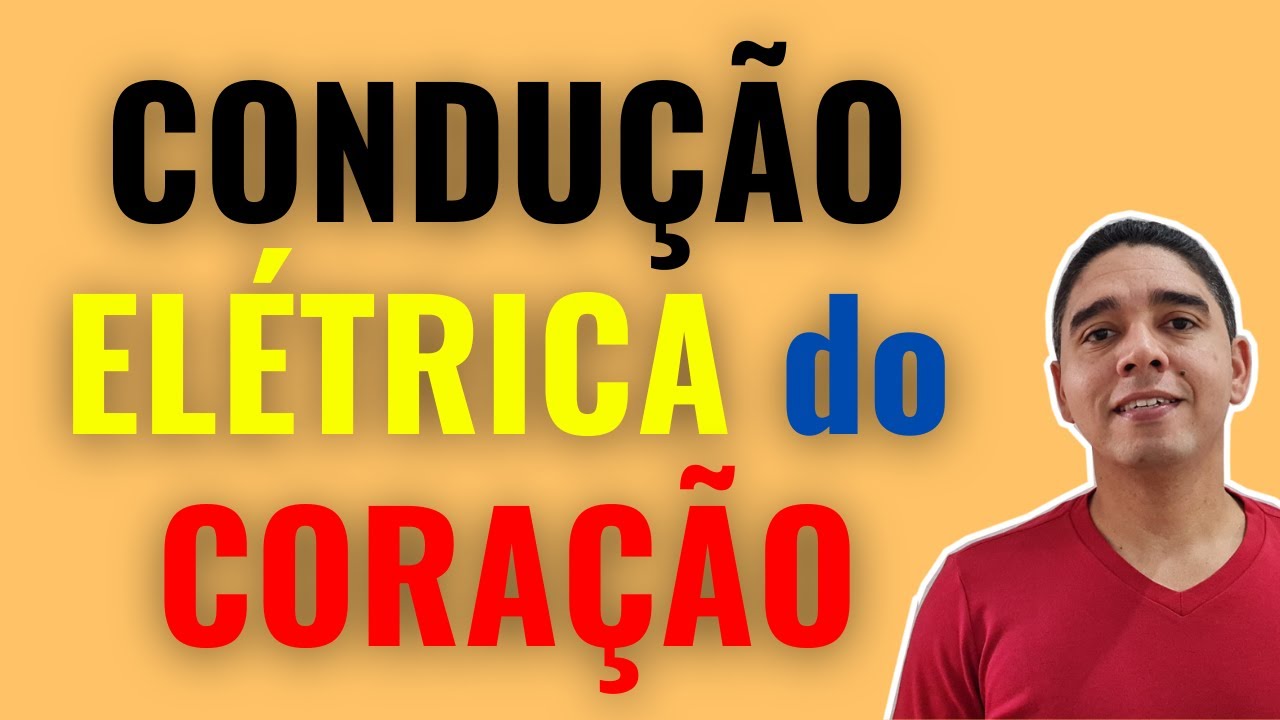 Despolarização do coração [eletrofisiologia do coração]