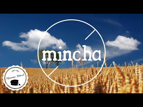 Manna Bites! || Mincha