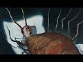 The Metamorphosis Franz Kafka