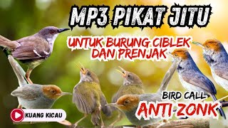 Download lagu SUARA PIKAT BURCIL PALING AMPUH!! Ciblek Ribut VS Prenjak Ribut mp3
