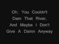 Dam That River- Alice In Chains (w/ Lyrics)