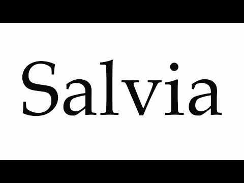 How to Pronounce Salvia
