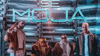 NORIEL - AMENAZZY-  SE MOJA  - RAUW ALEJANDRO - ELADIO CARRION (AUDIO OFFICIAL)