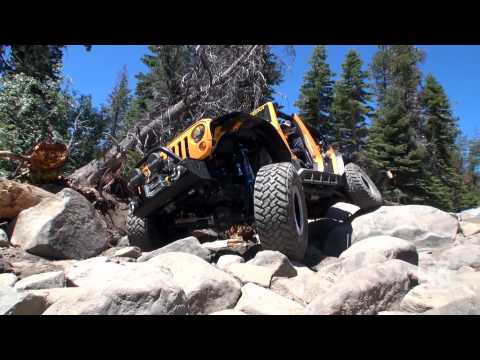 RUBICAT on the RUBICON: The EVO MFG Bolt-On Coil Over Kit in Action