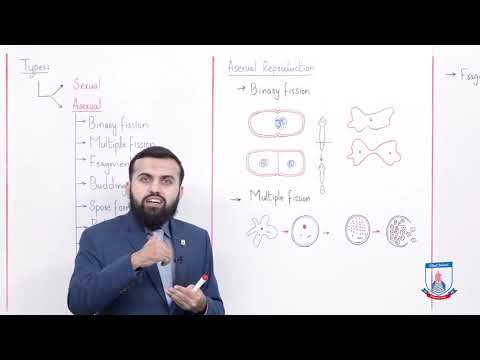 Class 10 - Biology - Chapter 14 - Lecture 1 - Introduction of reproduction - Allied Schools