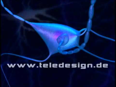 GN 023 Ekstasy-SD PAL / GN 023  ecstasy-SD PAL