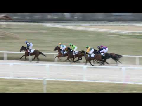 2022.04.03. 01. futam - AMATŐRVERSENY HENDIKEP (V.o.) (szintetikus pálya)