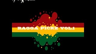 Ragga Pickz Vol.1 - Dj bigpickz new school ragga drum and bass mix