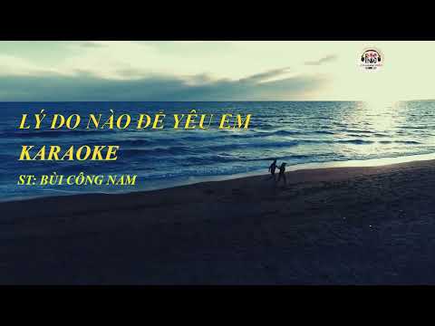 KARAOKE - BÙI CÔNG NAM | " Lý Do Nào Để Yêu Em " | Live in SOL 8