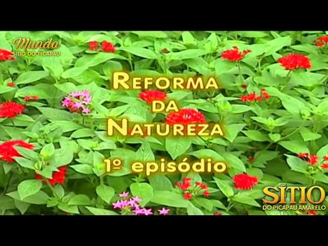 Sítio do Picapau Amarelo | Reforma da Natureza • 1° Episódio (2001) - Completo HD