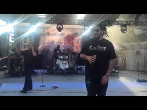 The Green featuring J Boog | Rebelution: Falling into Place Tour | June 2016