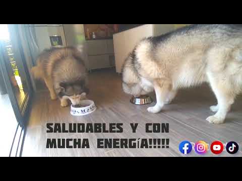 Más años, más energía