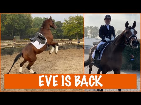 OMG! Eve steigert voor de wedstrijd! | PaardenpraatTV