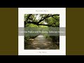 Soothing Brown Computational Noise Moment Arrived