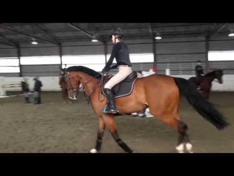 Bentley, Johan trening