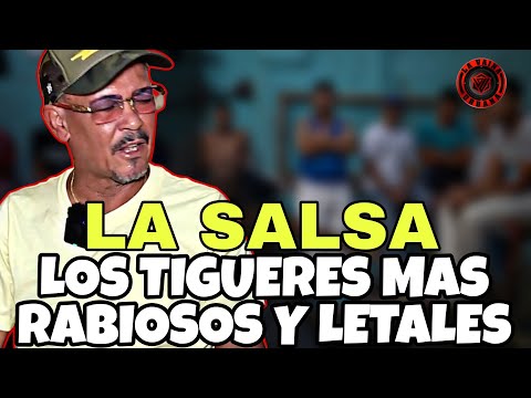 SALSA TALES: THE MOST RABIOUS AND DEADLY TIGERS