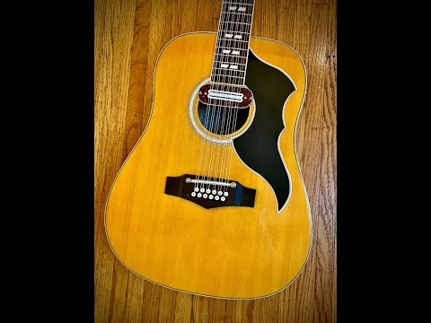 EKO Ranger Baritone Acoustic Electric XII String Guitar