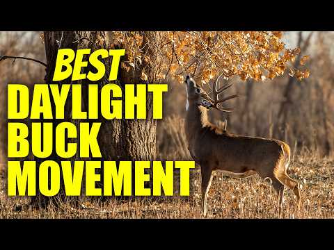 150+ Trail Camera Study Reveals BEST Days To Hunt This Fall!